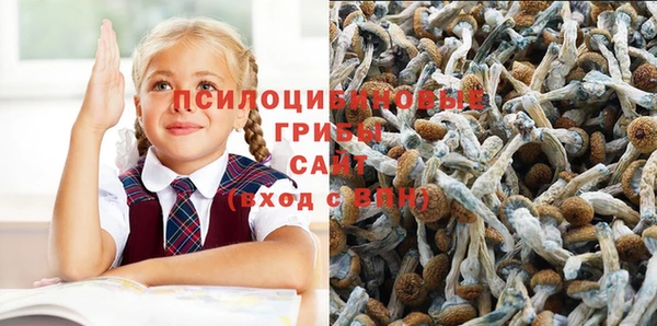PSILOCYBIN Алексеевка